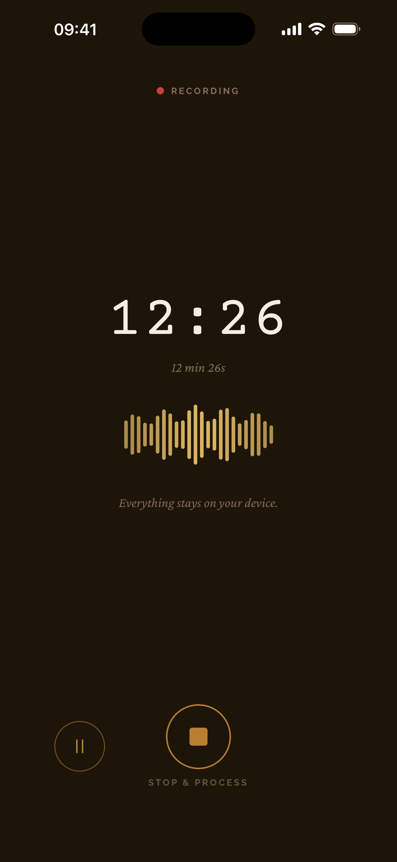 Meeting Summarizer recording screen — waveform, elapsed time, and the reminder that everything stays on your device